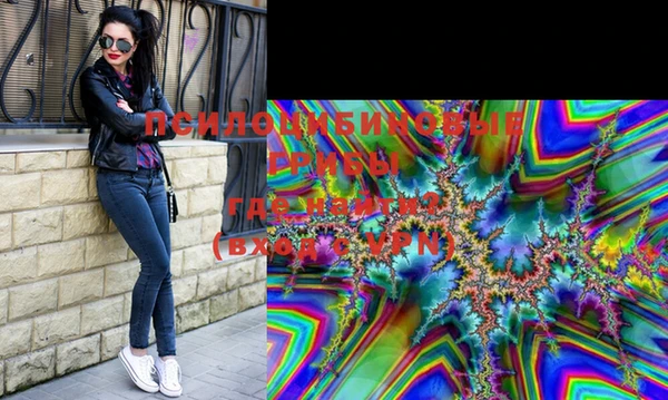ECSTASY Белокуриха