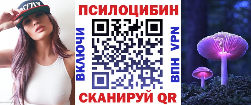 где найти   Кяхта  Галлюциногенные грибы Cubensis 